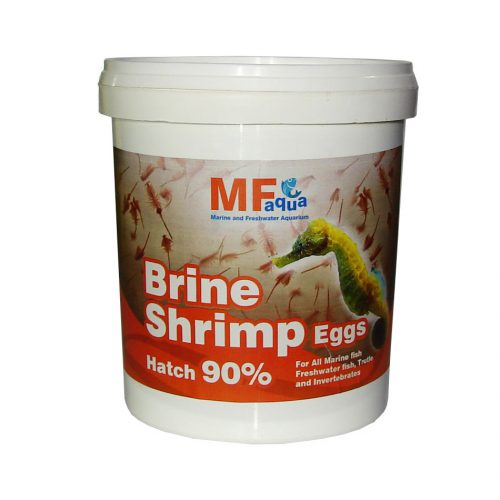 MF aqua Brine Shrimp egg 600gr