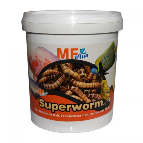 MF aqua superworm